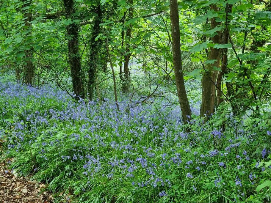 Deer Vue Villa Exeter Luaran gambar