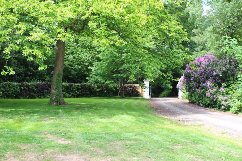 Deer Vue Villa Exeter Luaran gambar